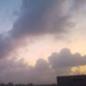 shanezehrasyeda avatar