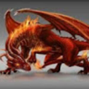 firedragon1234 avatar