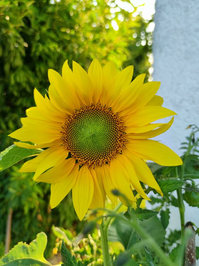 Like The Symmetry In This