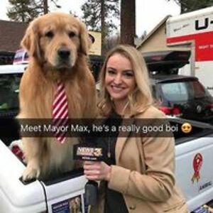 max_arenstein avatar