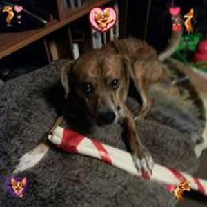 devilgirl3242 avatar