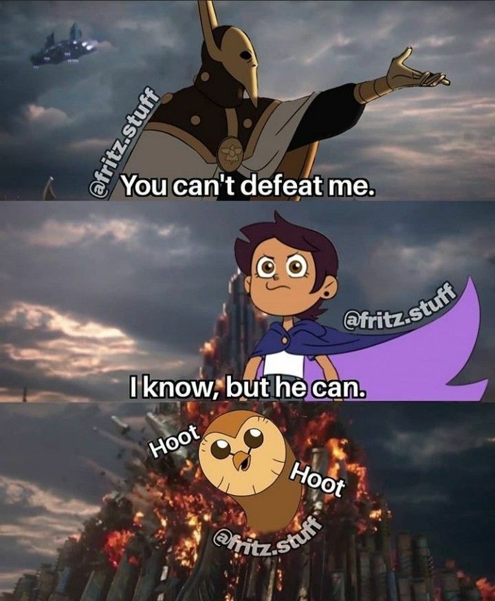 Best Hooty Memes/Things