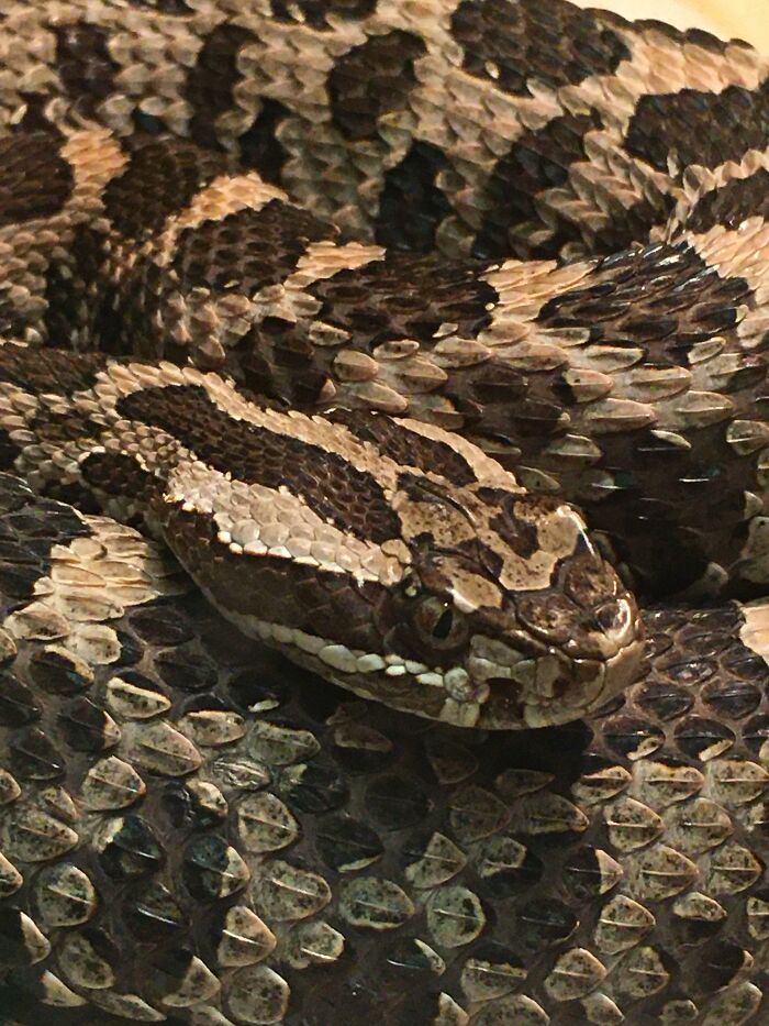 This Was At The Zoo.