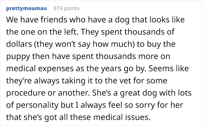 &ldquo;Breed For Health. Not Show&rdquo;: Breeder Is Reengineering French Bulldogs&rsquo; Faces To Make Them Healthier