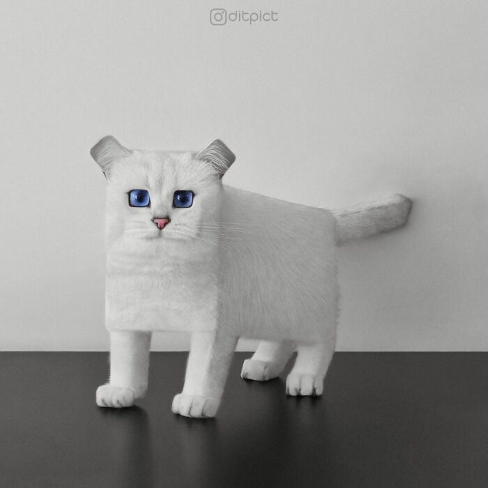 What If… Real Animals Were Cubic Shaped Animals From The Minecraft Game? (22 New Pics)