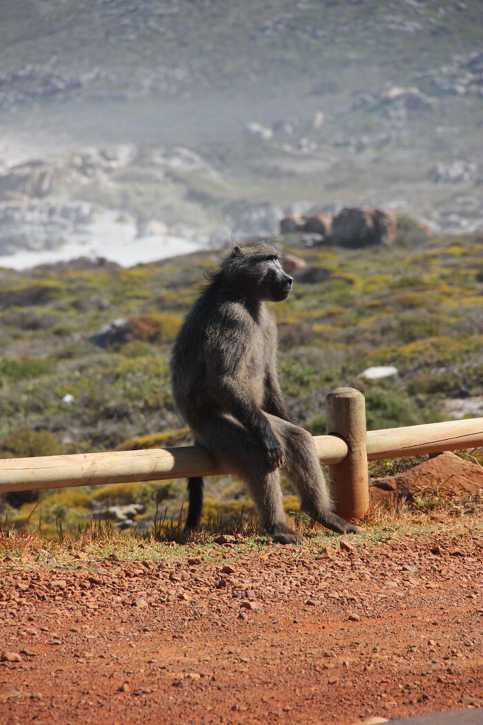 Waiting For The Bus? Our Trip To South Africa