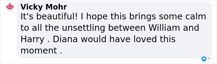 On Princess Diana’s 60th Birthday, Her Sons Prince Harry And Prince William Honored Their Mother By Unveiling Her Statue Despite Tensions Between Them On Princess Diana’s 60th Birthday, Her Sons Prince Harry And Prince William Honored Their Mother By Unveiling Her Statue Despite Tensions Between Them