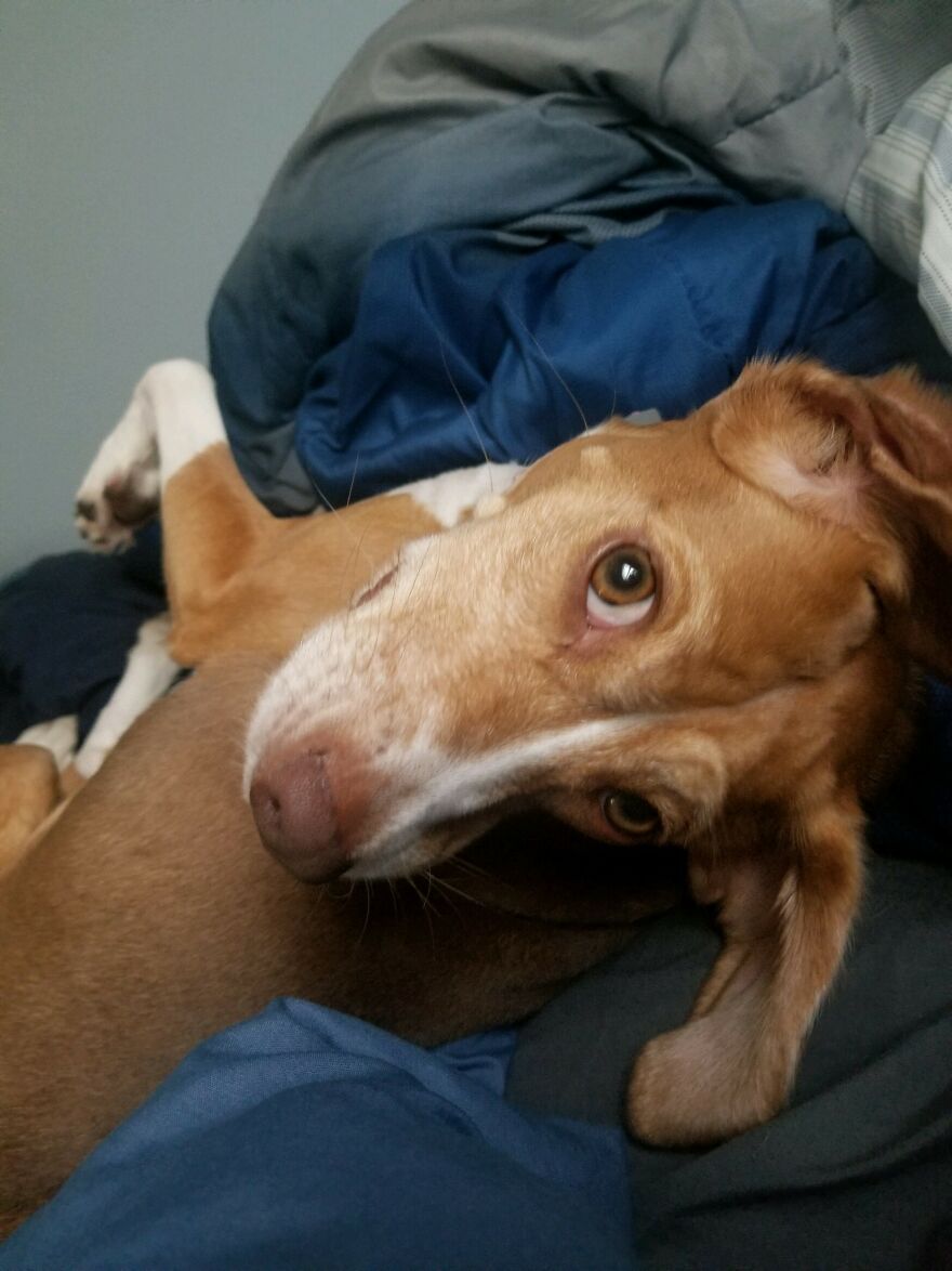 Makes My Neck Hurt Just Looking At It