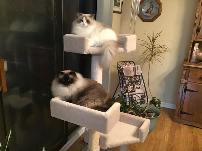 Pumpkin And Kayleigh