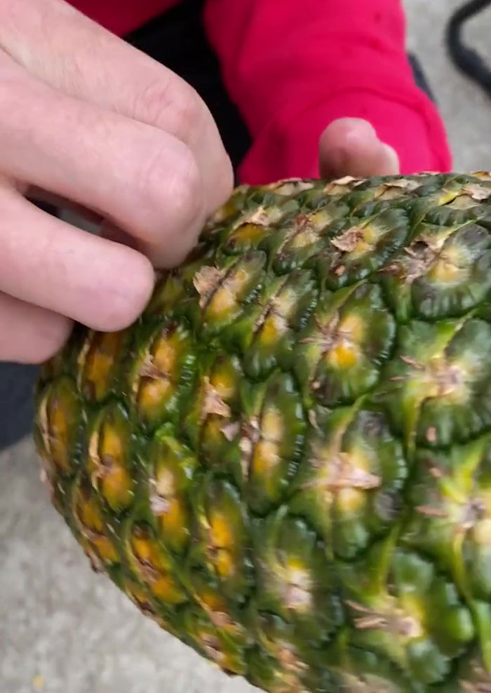 32+ Million People Can&rsquo;t Stop Watching This Video Of How To &lsquo;Correctly&rsquo; Eat Pineapples