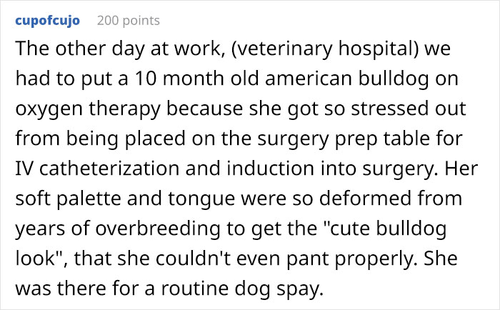 “Breed For Health. Not Show”: Breeder Is Reengineering French Bulldogs’ Faces To Make Them Healthier “Breed For Health. Not Show”: Breeder Is Reengineering French Bulldogs’ Faces To Make Them Healthier
