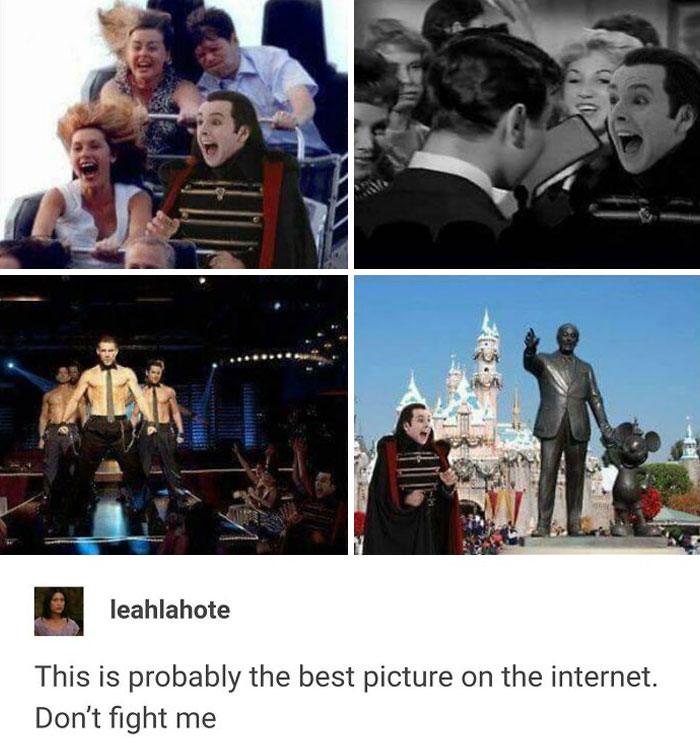 Funny-Twilight-Jokes-Memes