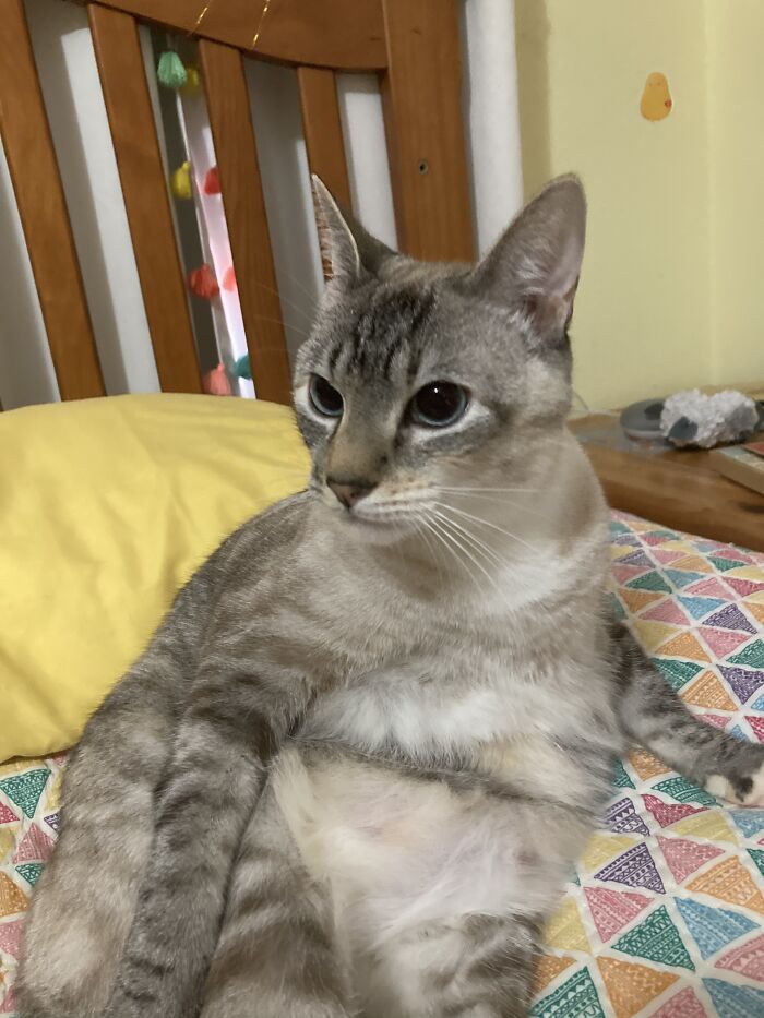 Pano Shoots Don’t Always Work