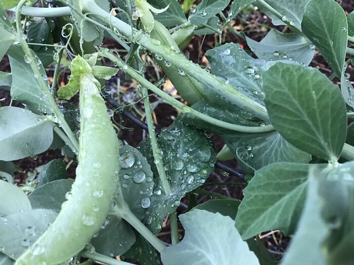 This Isn’t My Favorite, But Just A Nice Pic I Took Yesterday