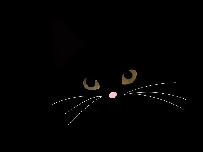 Here’s A Cat Face. It’s Black At Night So That I Didn’t Have To Draw All Of It