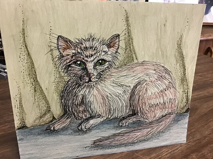 Is It A Cat Or A Rat, Anyway Here Is One.....