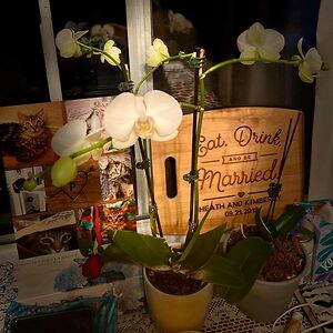 kimberlyshae_s avatar