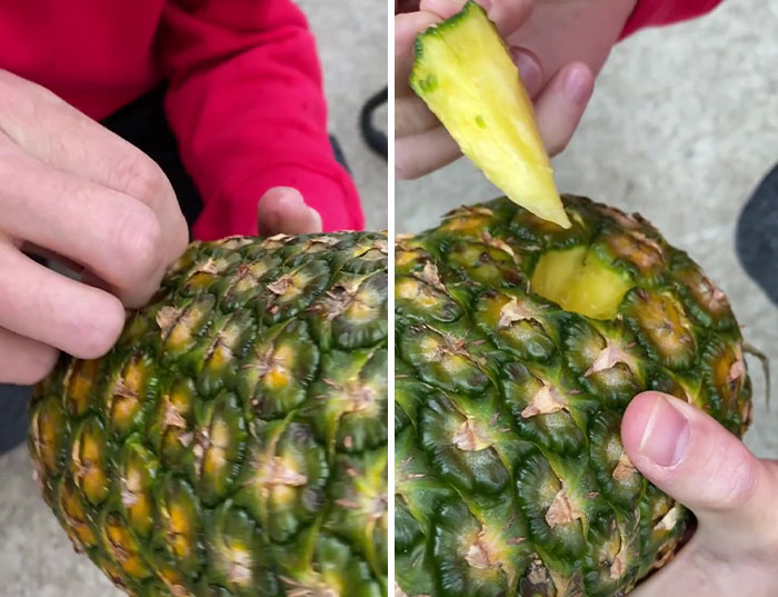 32+ Million People Can&rsquo;t Stop Watching This Video Of How To &lsquo;Correctly&rsquo; Eat Pineapples