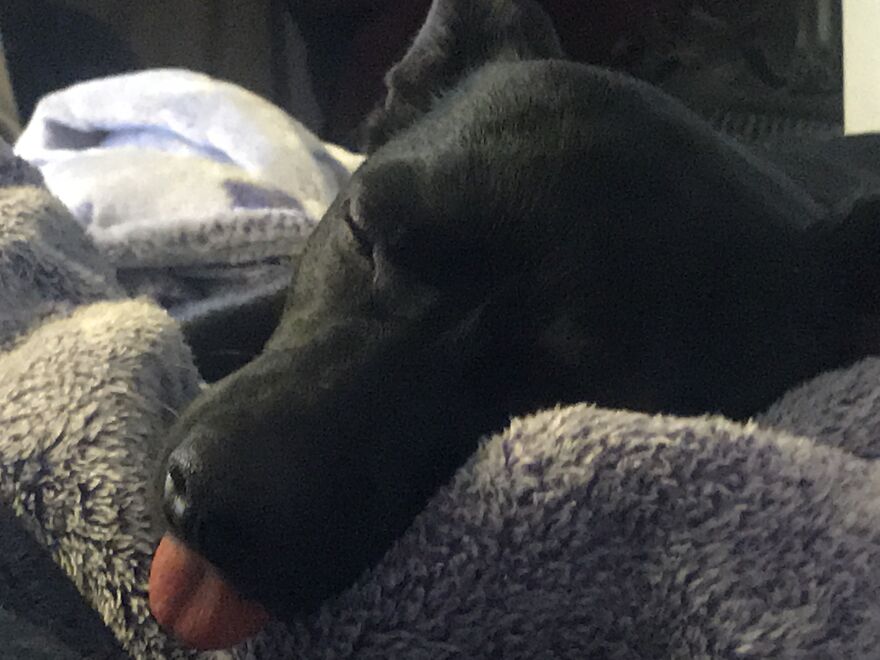 Always With The Tongue ! Sweet Ghosty Boy!