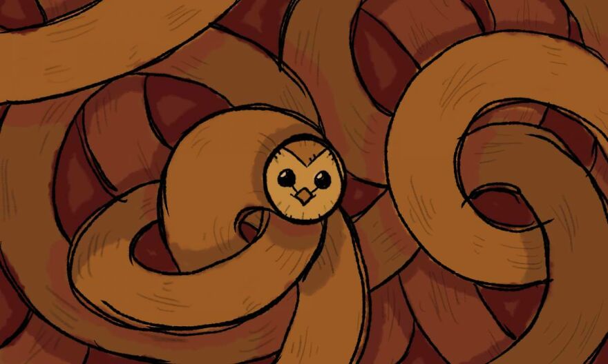 Best Hooty Memes/Things