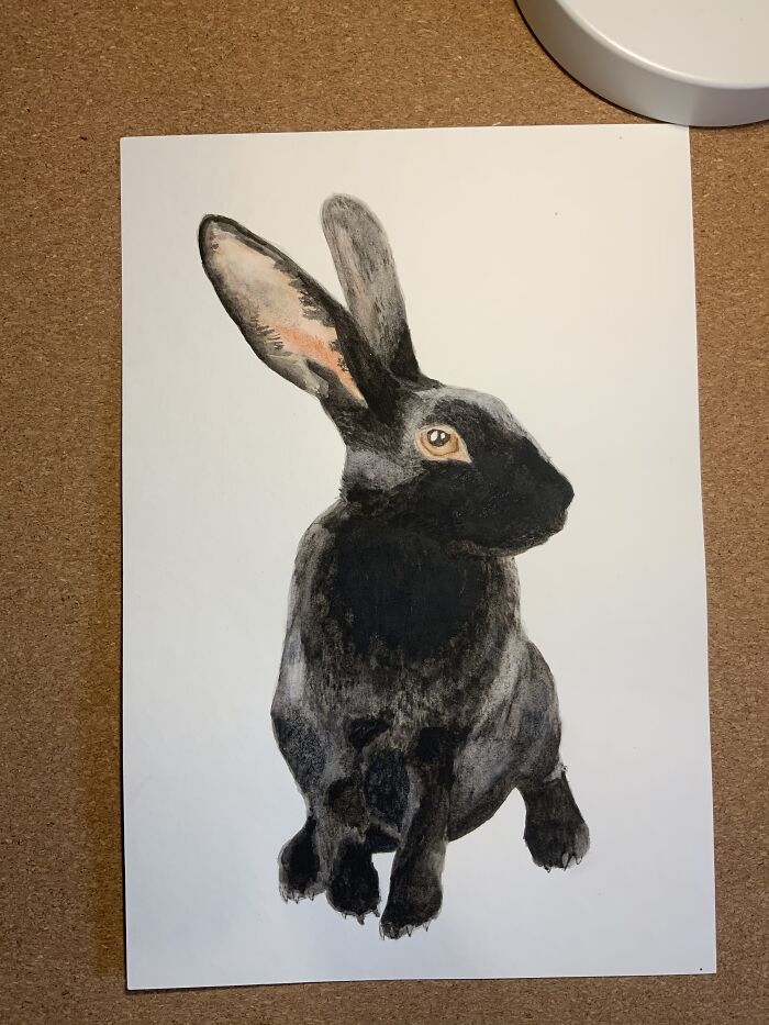 I Love Rabbits! 😄🐇 And Painting Them