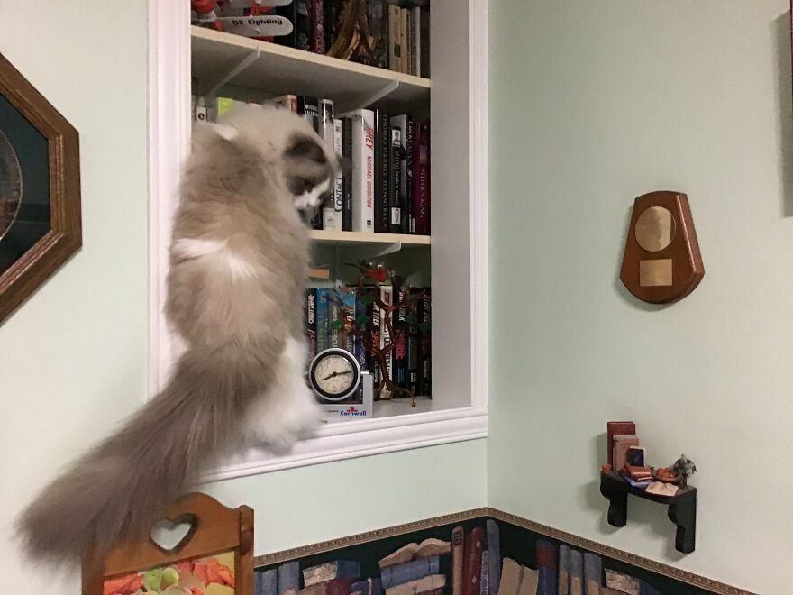 Getting In Trouble.....