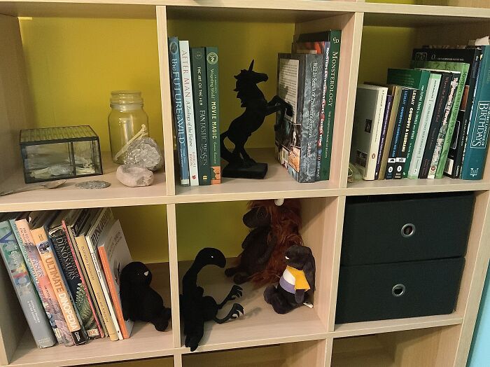 Dinosaurs, Speculative Evolution, Cryptozoology & Aliens! 🦖🦕👽🛸🦣