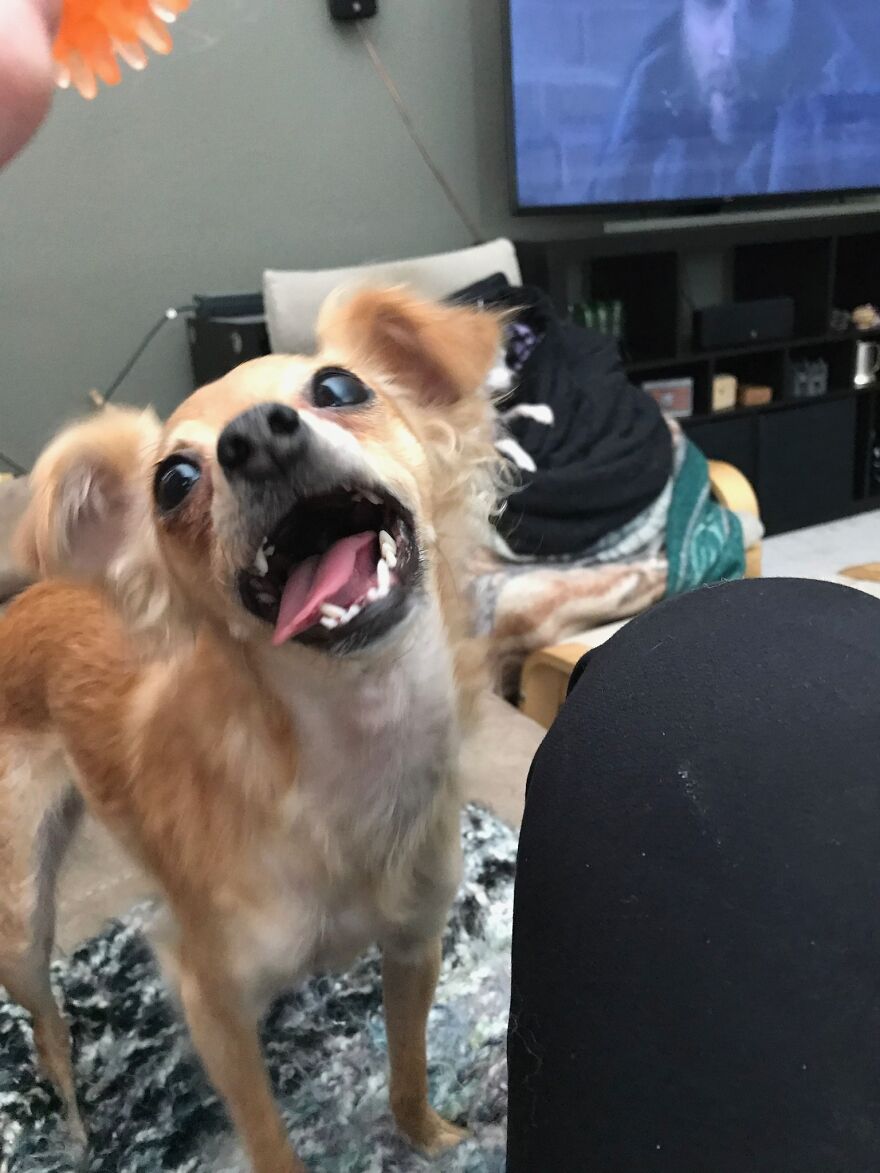 She’s A Little Crazy! Watch Your Fingers…