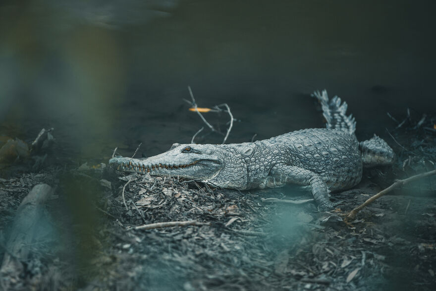 We Decided To Sell Everything We Own, Convert An Old Truck, And Travel The World Together (New Pics)