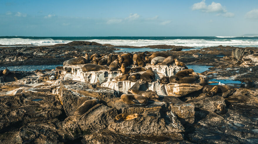 We Decided To Sell Everything We Own, Convert An Old Truck, And Travel The World Together (New Pics)