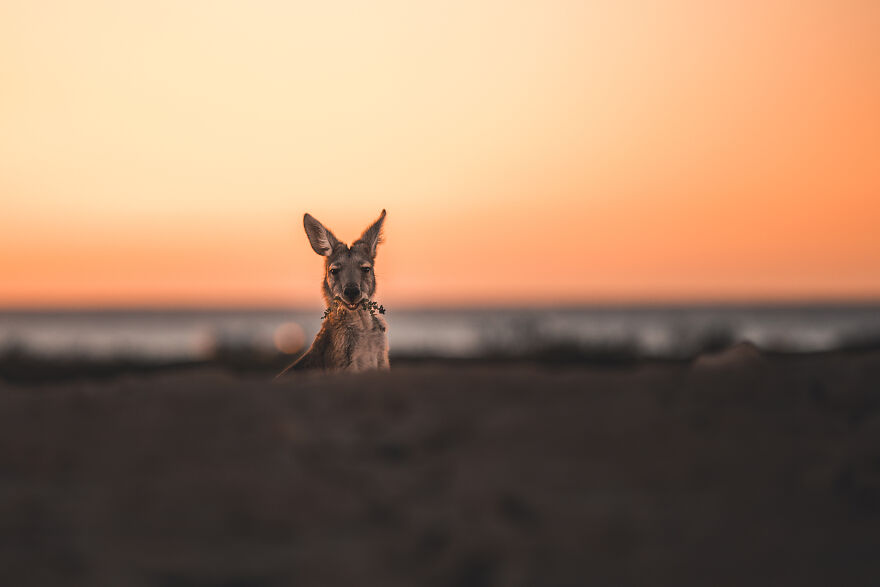 We Decided To Sell Everything We Own, Convert An Old Truck, And Travel The World Together (New Pics) We Decided To Sell Everything We Own, Convert An Old Truck, And Travel The World Together (New Pics)