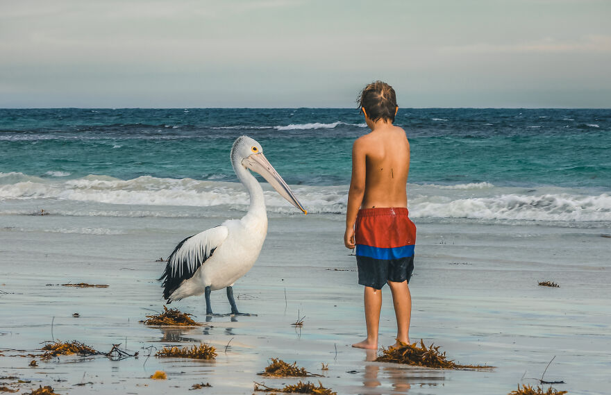 We Decided To Sell Everything We Own, Convert An Old Truck, And Travel The World Together (New Pics)