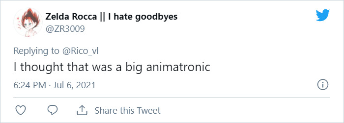 Giant Hyper-Realistic 3D Cat Billboard Appears In Tokyo, Mesmerizes The Passersby Giant Hyper-Realistic 3D Cat Billboard Appears In Tokyo, Mesmerizes The Passersby