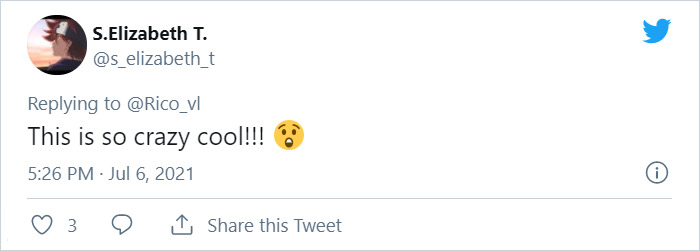 Giant Hyper-Realistic 3D Cat Billboard Appears In Tokyo, Mesmerizes The Passersby Giant Hyper-Realistic 3D Cat Billboard Appears In Tokyo, Mesmerizes The Passersby