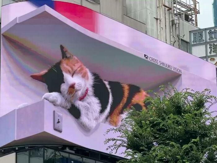 Giant Hyper-Realistic 3D Cat Billboard Appears In Tokyo, Mesmerizes The Passersby Giant Hyper-Realistic 3D Cat Billboard Appears In Tokyo, Mesmerizes The Passersby