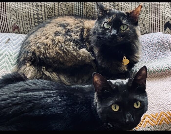 Moon (7) And James (1)