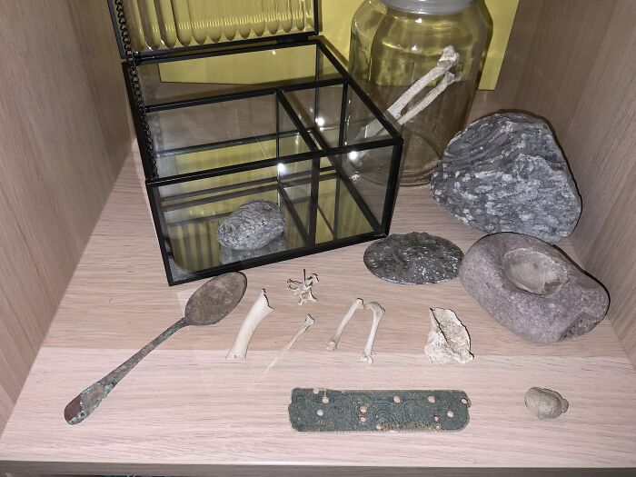 Bones & Other Weird Stuff I Find Washed Up On The Beach! Think The Green Thing Is Part Of A Computer?