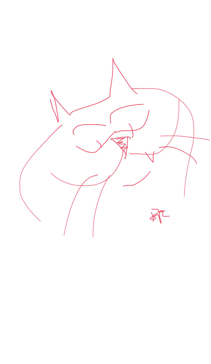 “Drawing” This Cat Next To My Signature Since 1987