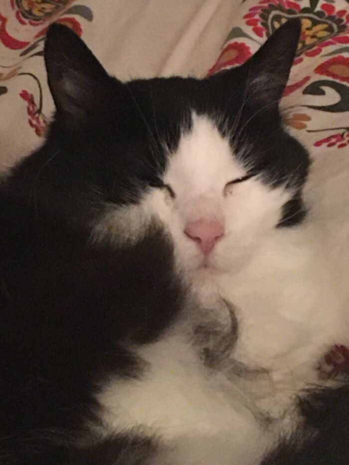 This Is Nelli, She Was But To Sleep Yesterday