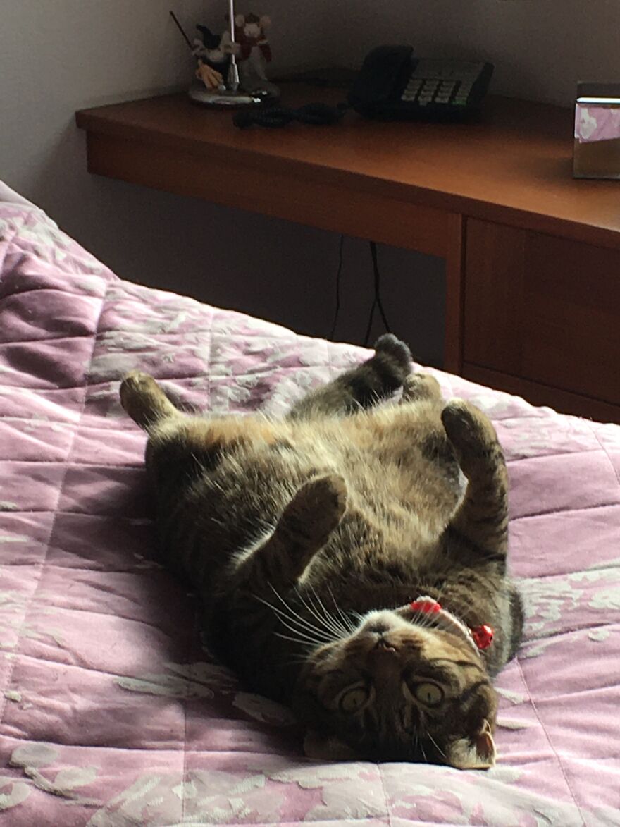 And The Bed’s All Mine.