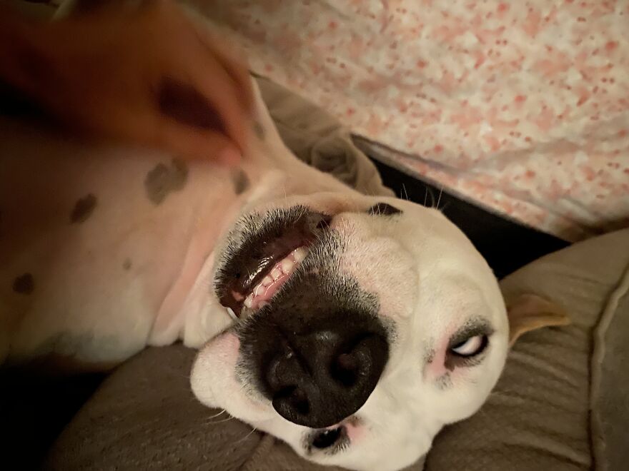 We Call Her Nasty Nala, He’s Ducky (Aka Dumdum)