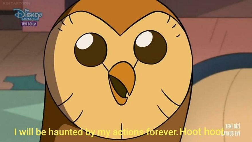 Best Hooty Memes/Things