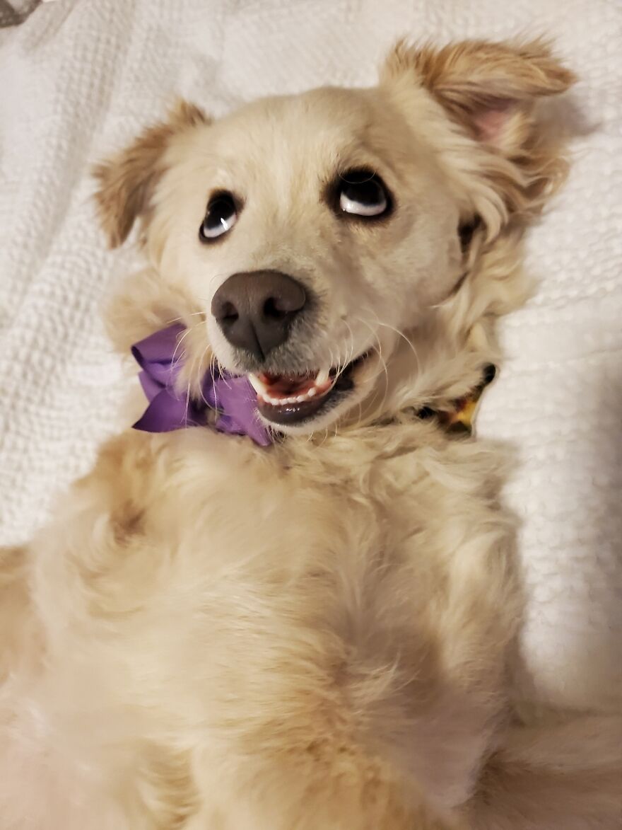 Some Of My Animals With Funny Faces