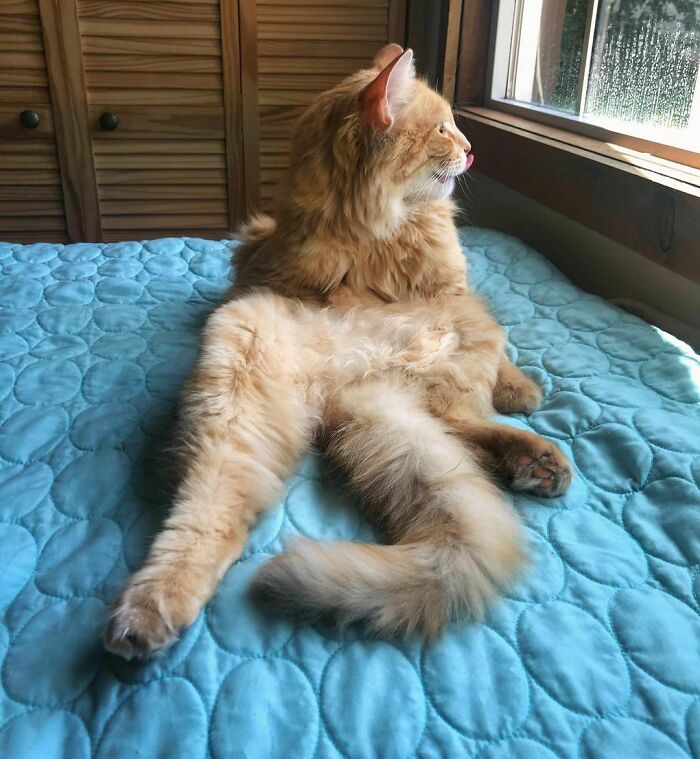 Current Reality. 🤔 #thedudeabides