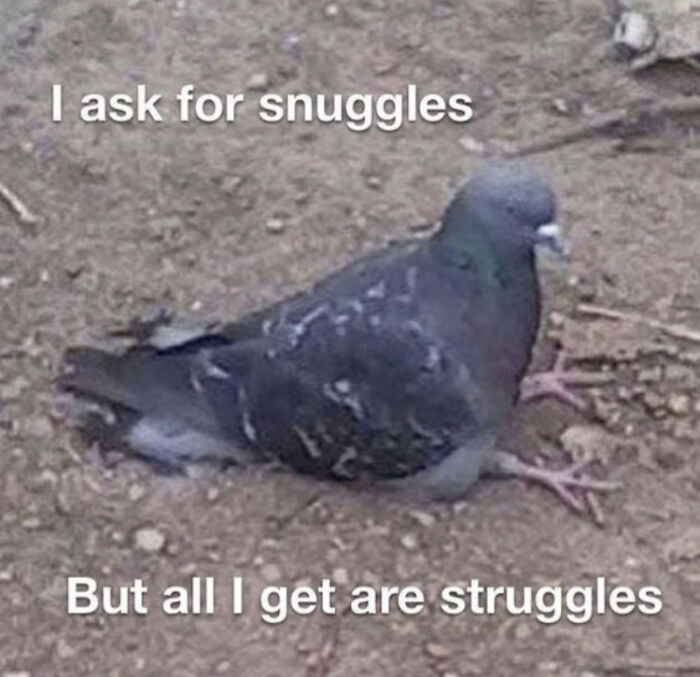 Who Else Can Personally Relate