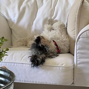 trinity-macelwain avatar