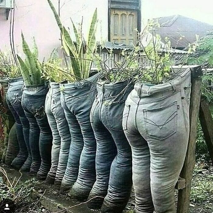 Gardening Was In Their Genes