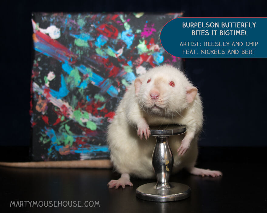 Burpleson Butterfly Bites It Bigtime! By Beesley And Chip, Feat. Nickels And Bert