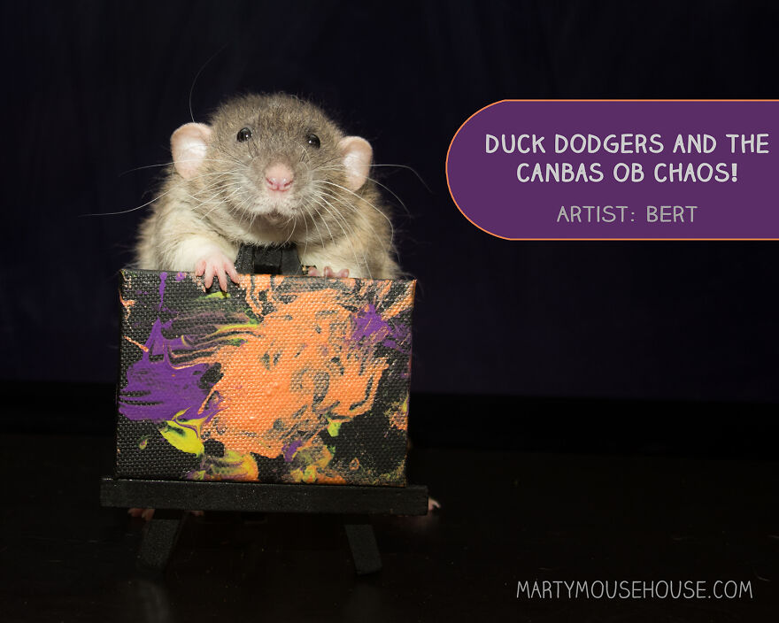 Duck Dodgers And The Canbas Ob Chaos! By Bert