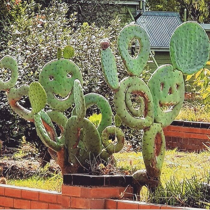 Spine Sublime- A Carving Most Creative 